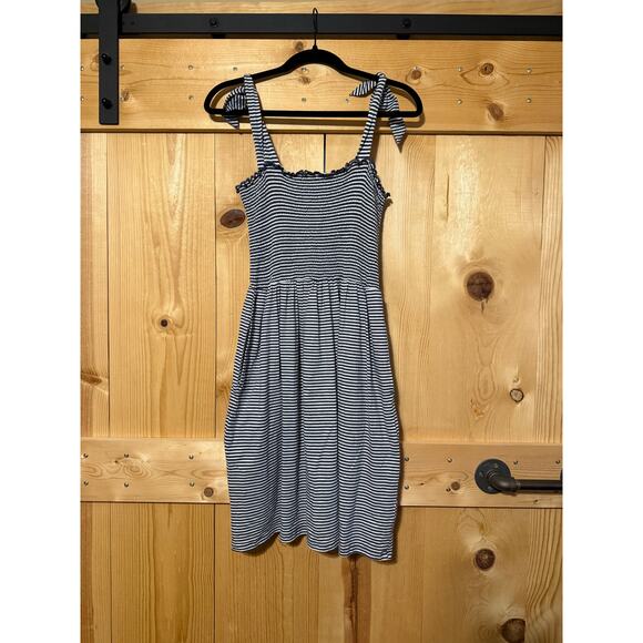 Toad and Co. Gemina Sleeveless Blue and White Striped Dress Size M - Picture 1 of 6